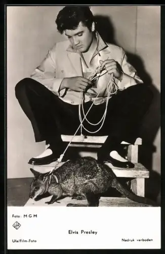 AK Musiker Elvis Presley mit einem Känguruh