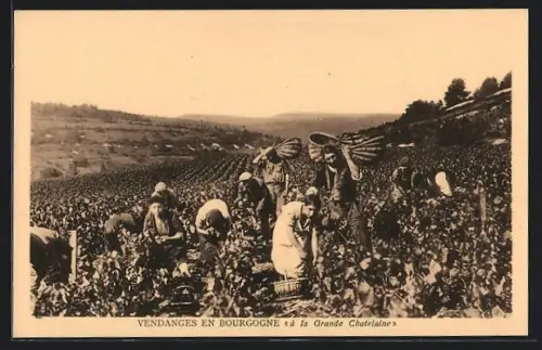 AK Bourgogne, Vendanges, À la Grande Chatelaine