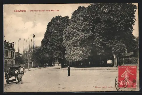AK Beaune, Promenade des Buttes avec calèche et arbres majestueux