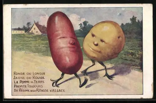 AK Zwei Kartoffeln unterhalten sich, Reklame für La Potasse d`Alsace, Metamorphose