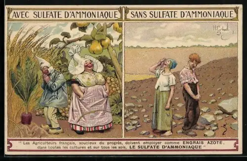 AK Avec & Sans Sulfate d`Ammoniaque, Gute und schlechte Ernte, Reklame