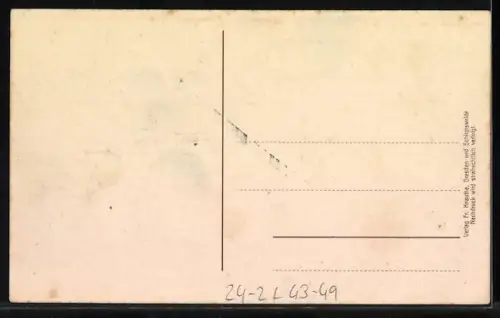AK Dresden, Dresdner Vogelwiese nach dem Brande 1909