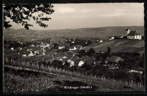 AK Wilchingen /Schaffh., Teilansicht mit Kirche