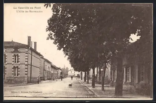 AK La Neuville au Pont, L`Allée des Marronniers