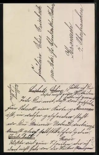 Foto-AK L.J. & F.F. Nr. 2324/2: Fräulein mit Rose im Haar