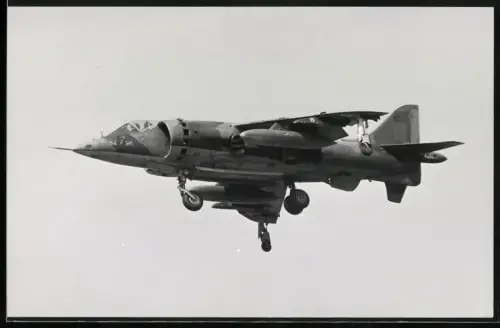 Fotografie Flugzeug Hawker Siddeley Harrier, Senkrechtstarter im Schwebeflug