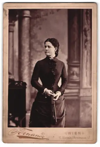 Fotografie Fernande, Wien, Mariahilferstrasse 1b, Porträt einer Frau in elegantem Kleid, 1889
