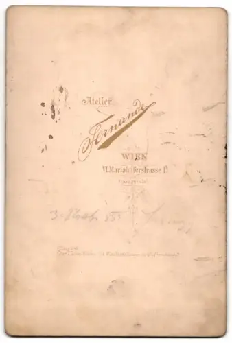 Fotografie Fernande, Wien, Mariahilferstrasse 1b, Porträt einer Frau in elegantem Kleid, 1889
