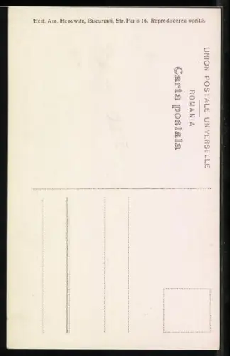 AK Principesa Elisabeta