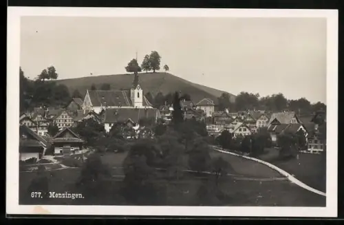 AK Menzingen, Teilansicht mit Bäumen