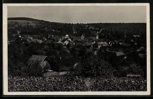 AK Hägglingen /Aargau, Totalansicht