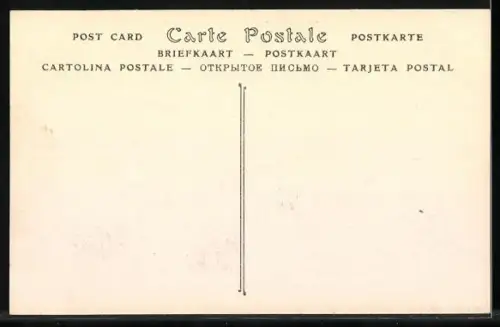 AK Tregastel, Le Rocher de Roc`h-Toul