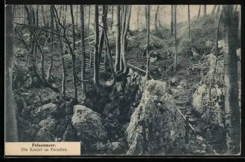 AK Die Kantel im Paradies, Felsenmeer