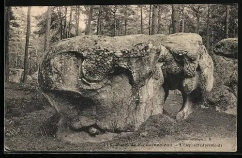 AK L`Élephant dans la Forêt de Fontainebleau