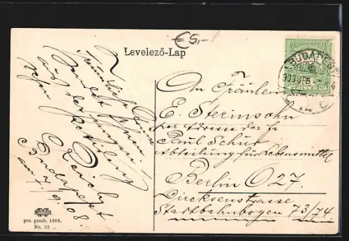 AK Budapest, Clotild Palais, Schwurstrasse, Panorama