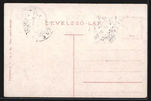 AK Budapest, Freiheitsplatz mit Häuserpanorama