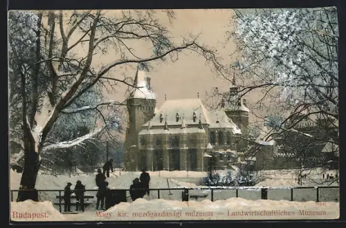 AK Budapest, Landwirtschaftliches Museum im Winter