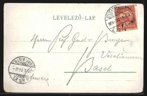 Lithographie Budapest, Königlich Ungarisches Opernhaus mir Strasse