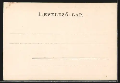 AK Budapest, Andrassy-Strasse aus der Vogelschau