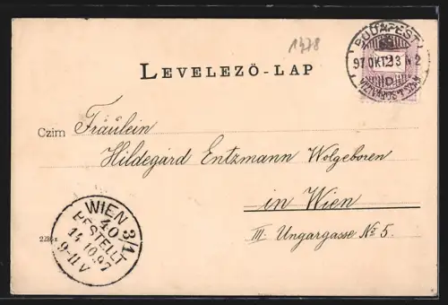 AK Budapest, Fötyös, K. Opernhaus, Teilansicht, Blumen, Schwalbe, Rahmen