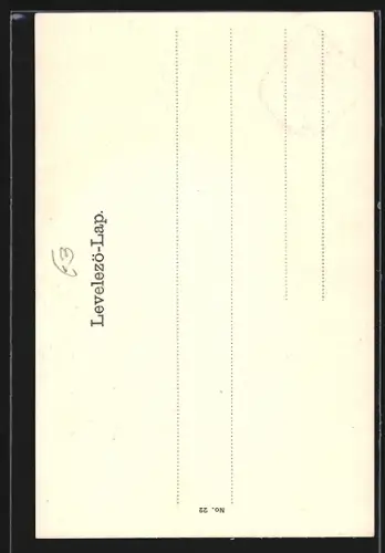 AK Budapest, Kettenbrücke und Basilika