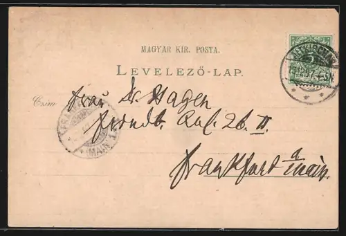 Lithographie Budapest, Kettenbrücke, K. Burg und Burgbazar, Tunnel und Dampfseilrampe