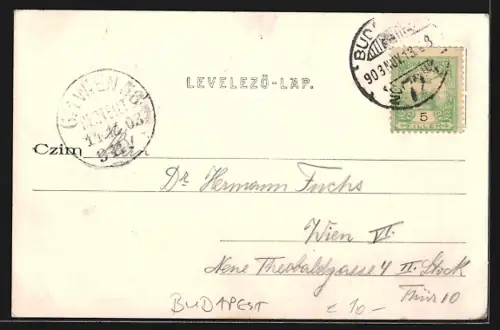 AK Budapest, New York kávéház, Tulajdonosok Harsányi testvérek