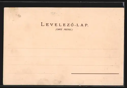 Lithographie Budapest, Königliches Burgpalais, Rakpart Quai mit Dampfer, Westbahnhof