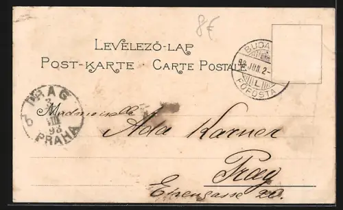 Lithographie Budapest, Grand Hotel Hungaria, Corso, Gesamtansicht, Dampfer