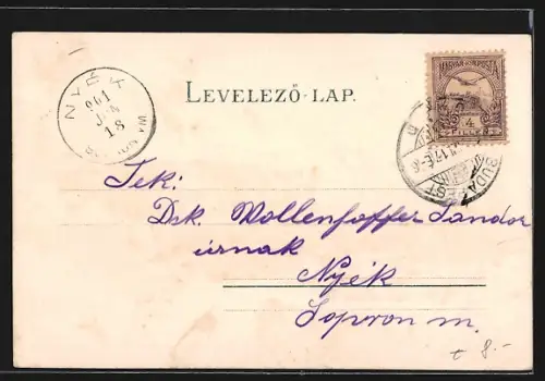 Lithographie Budapest, Kaiser- u. St. Lukas-Bad, Raddampfer