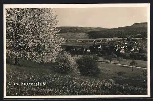 AK Kaiserstuhl, Gesamtansicht von einer Wiese aus