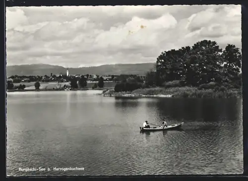AK Herzogenbuchsee, Bugäschi-See mit Blick auf Herzogenbuchsee