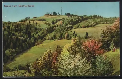 AK Wernetshausen /Zürich, Blick auf dem Bachtel Kulm