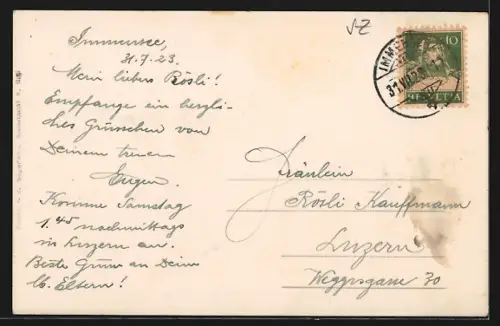 AK Immensee, Ortsansicht aus der Vogelschau