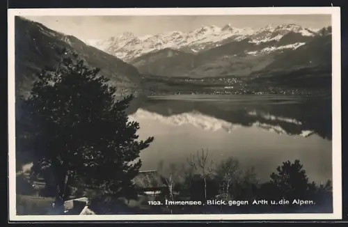 AK Immensee, Blick gegen Arth und die Alpen