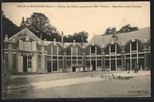 AK Rilly-la-Montagne, Chateau des Rozais, Dependances des Communs