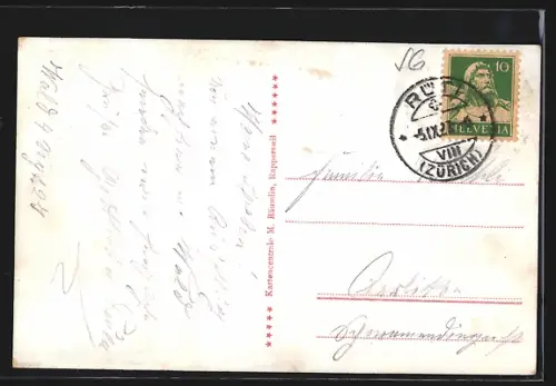 AK Rapperswil /SG, Totalansicht mit Bergen