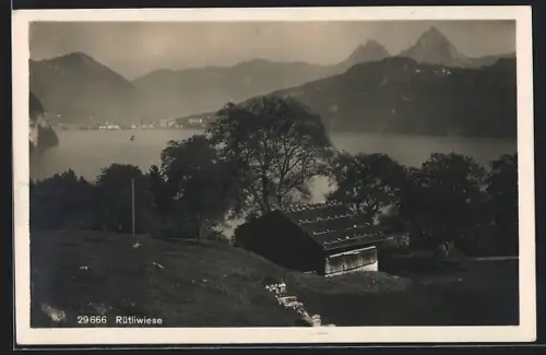 AK Rütli, Rütliwiese, Panorama mit Bergen