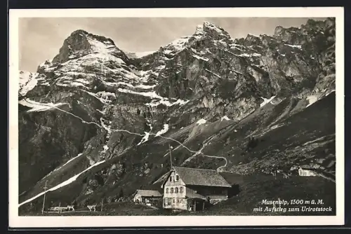AK Isenthal, Musenalp mit Aufstieg zum Urirotstock