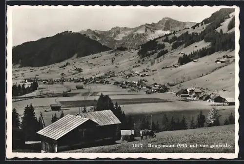 AK Rougemont, Vue générale