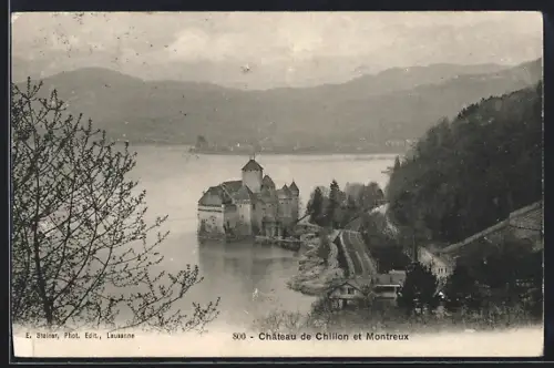 AK Montreux, Panorama et Château de Chillon