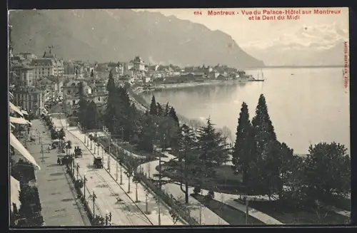 AK Montreux, Vue du Palace-Hôtel sur Montreux et la Dent du Midi