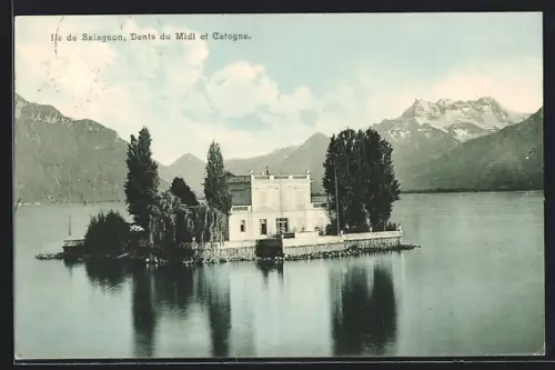 AK Ile de Salagnon, Panorama, Dents du Midi et Catogne