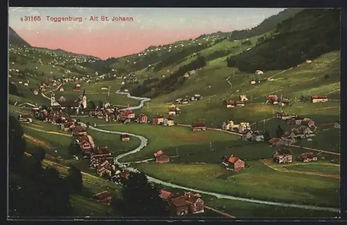 AK Toggenburg-Alt St. Johann, Panorama mit Bäumen