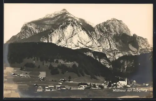 AK Wildhaus, Teilansicht mit Schafberg