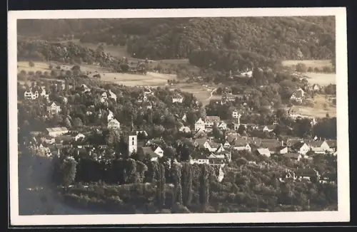 AK Riehen, Totalansicht aus der Vogelschau