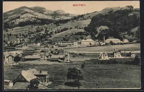 AK Wattwil, Totalansicht