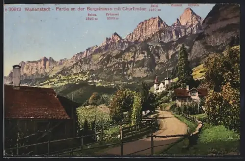 AK Wallenstadt, Bergstrasse mit Churfirsten