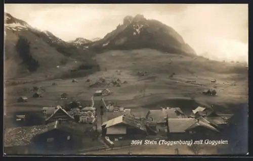 AK Stein /Toggenburg, Ortspartie mit Goggeien