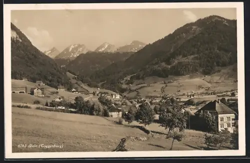 AK Stein /Toggenburg, Ortspartie im Gebirge